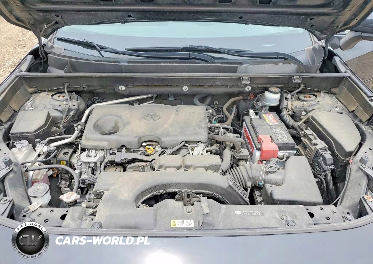 2019 Toyota Rav4 Xle Premium VIN:JTMA1RFV4KD008574 - 11