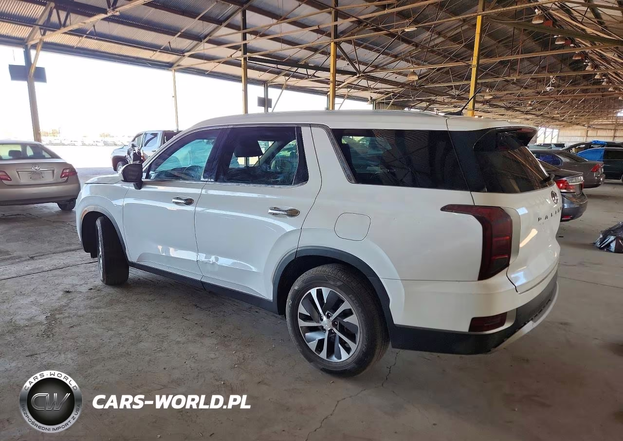 2020 Hyundai Palisade Sel VIN:KM8R24HE8LU040635 - 2