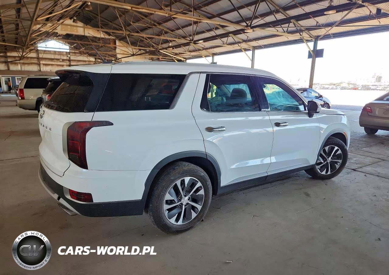 2020 Hyundai Palisade Sel VIN:KM8R24HE8LU040635 - 3