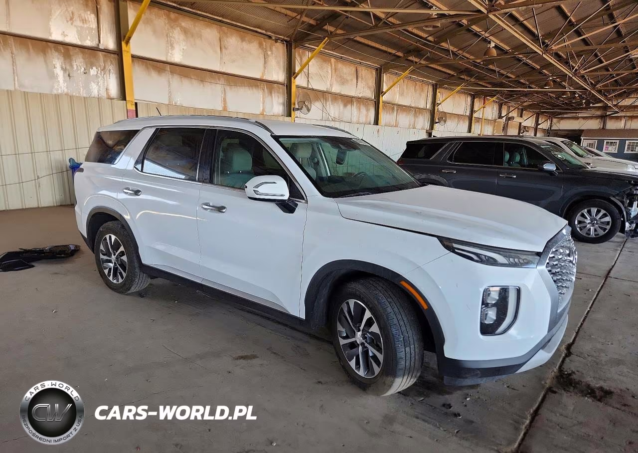 2020 Hyundai Palisade Sel VIN:KM8R24HE8LU040635 - 4