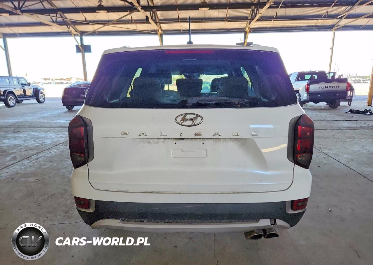 2020 Hyundai Palisade Sel VIN:KM8R24HE8LU040635 - 6