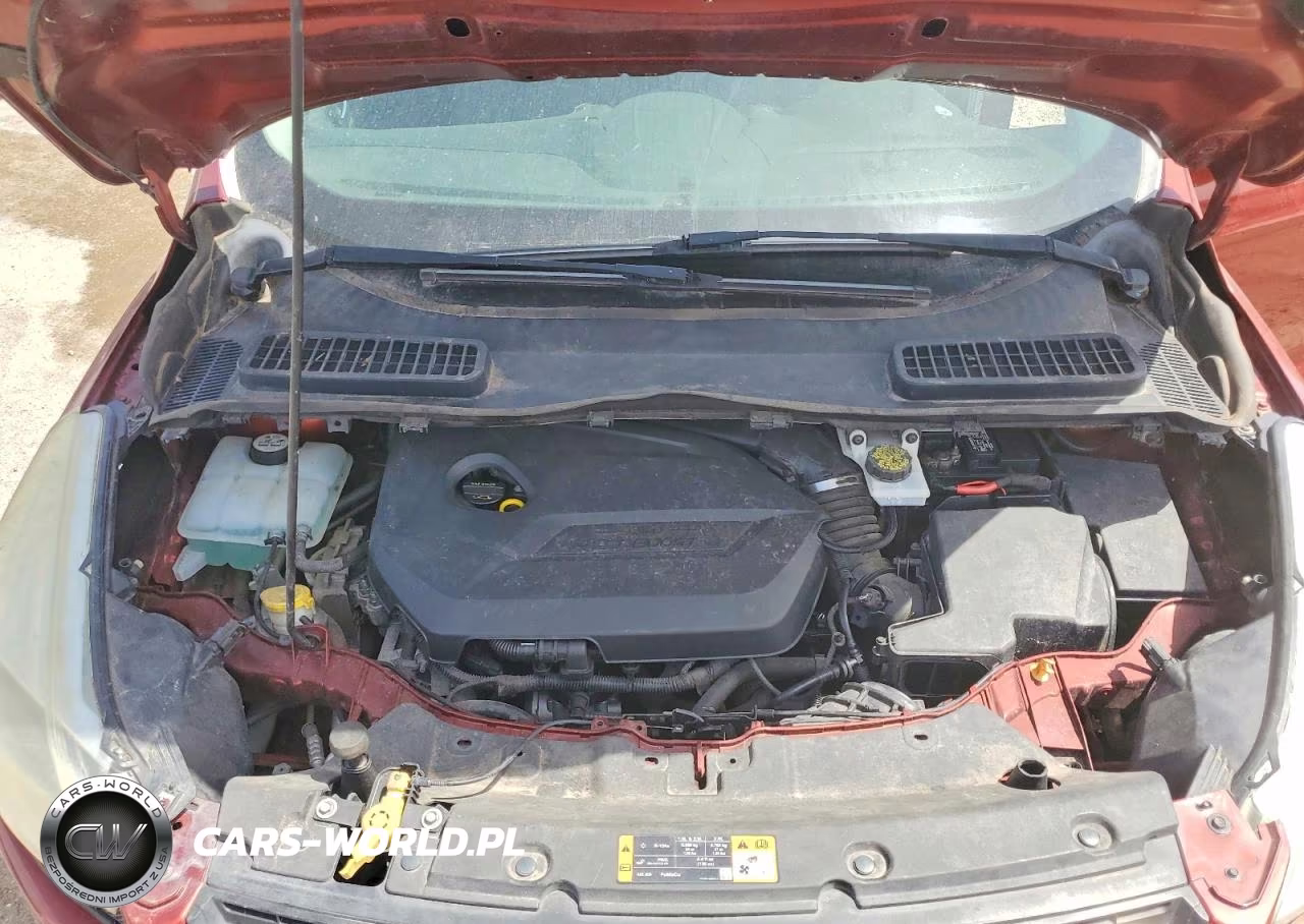 2014 Ford Escape Se VIN:1FMCU0GX7EUD57885 - 12