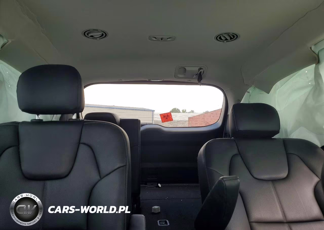 2022 Kia Telluride Ex VIN:5XYP3DHC3NG247655 - 10