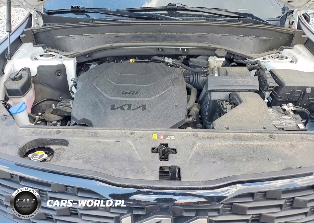 2022 Kia Telluride Ex VIN:5XYP3DHC3NG247655 - 12