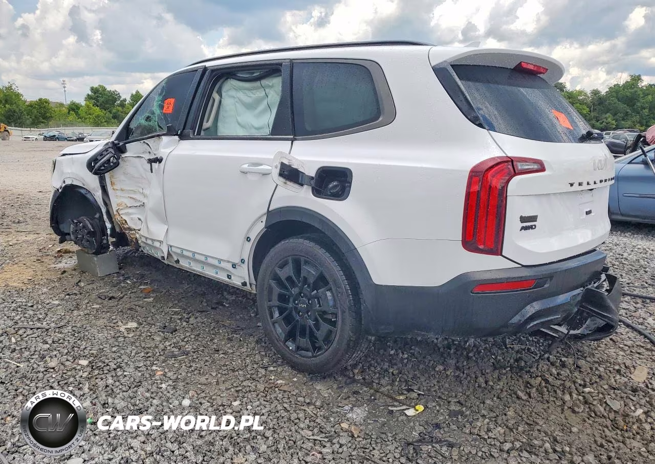 2022 Kia Telluride Ex VIN:5XYP3DHC3NG247655 - 2