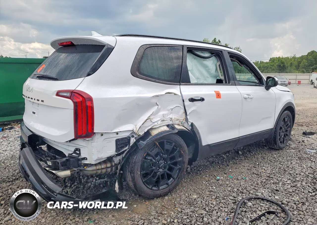 2022 Kia Telluride Ex VIN:5XYP3DHC3NG247655 - 3