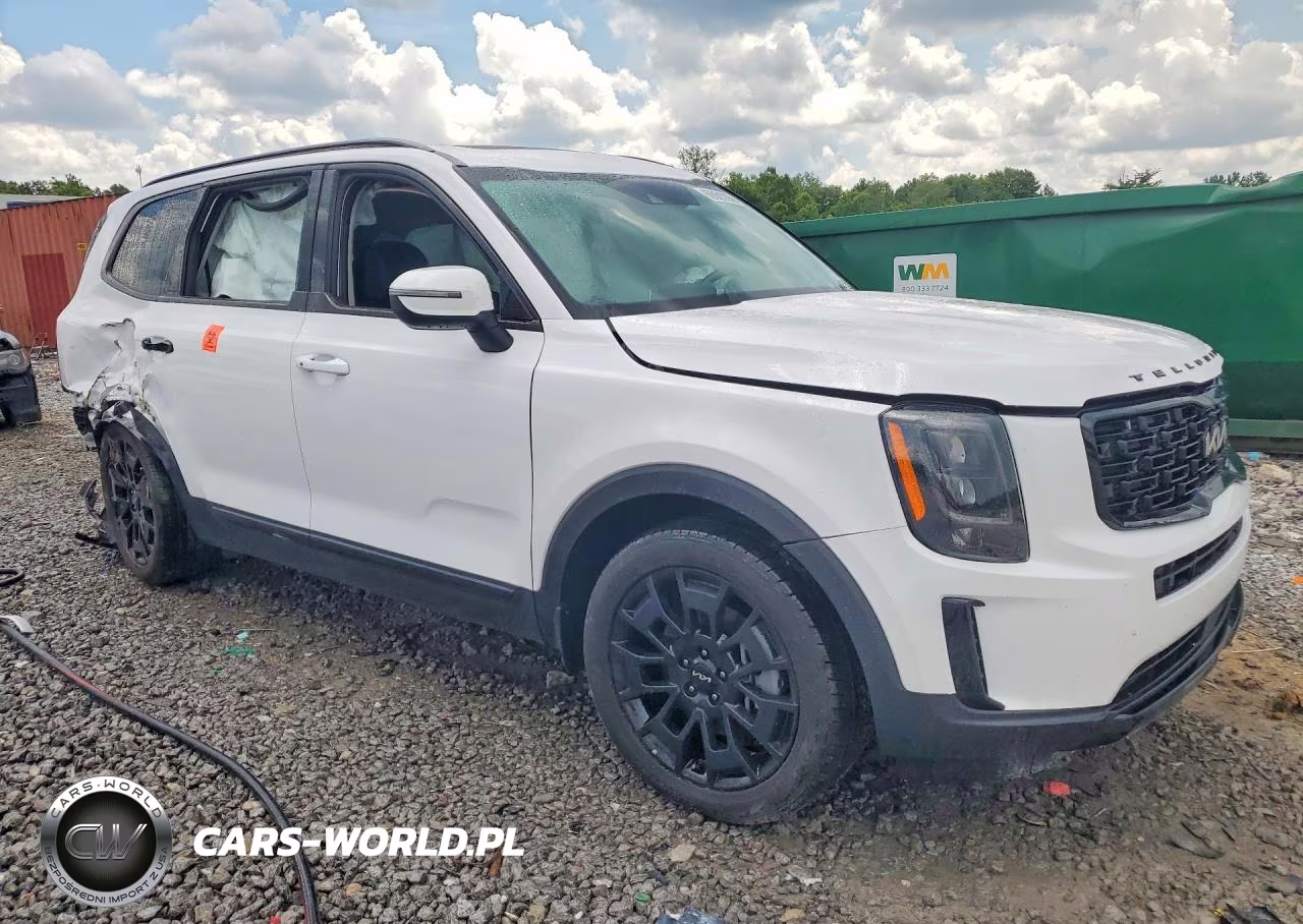 2022 Kia Telluride Ex VIN:5XYP3DHC3NG247655 - 4