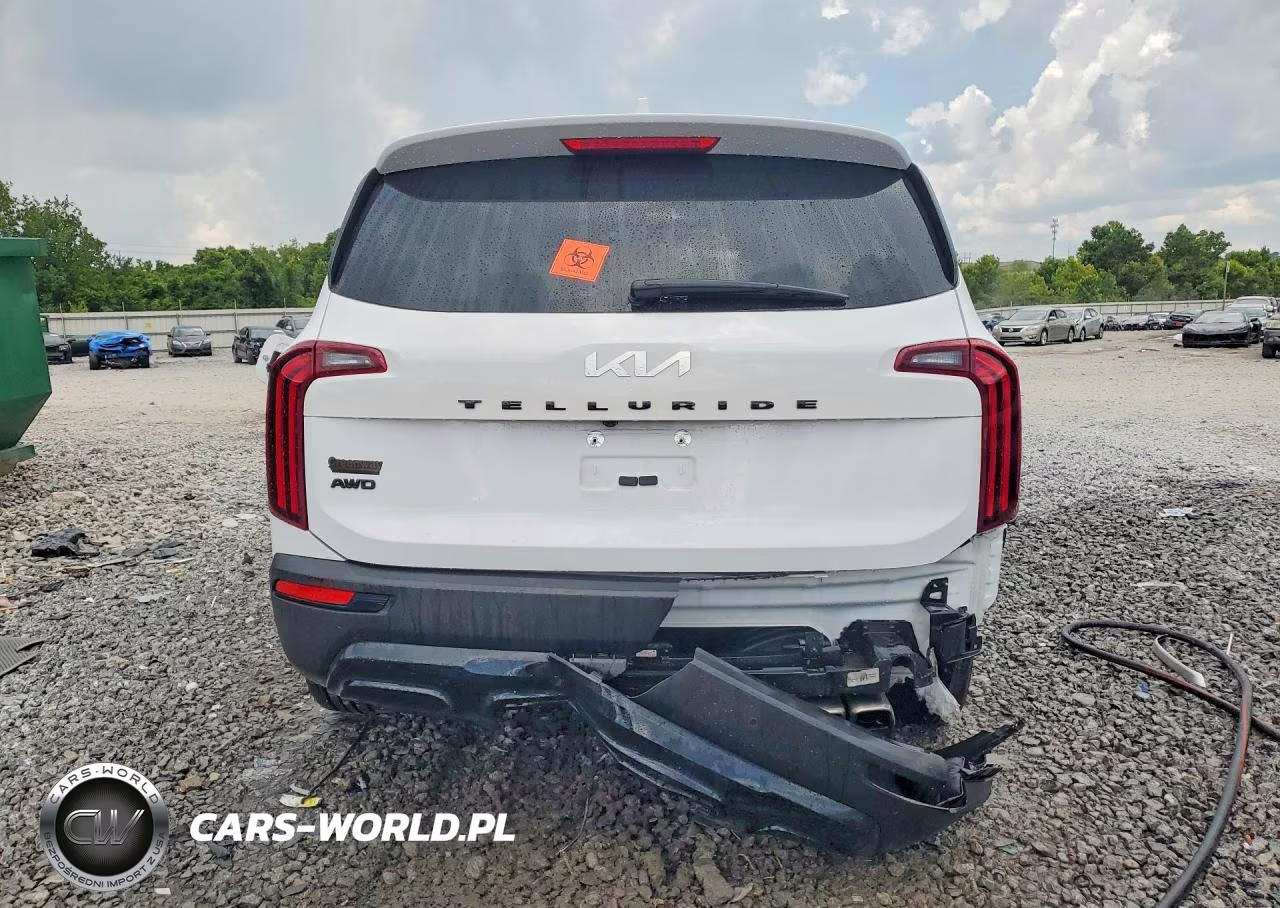 2022 Kia Telluride Ex VIN:5XYP3DHC3NG247655 - 6