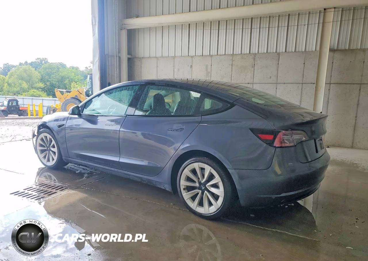 2022 Tesla Model 3 VIN:5YJ3E1EA9NF289068 - 2