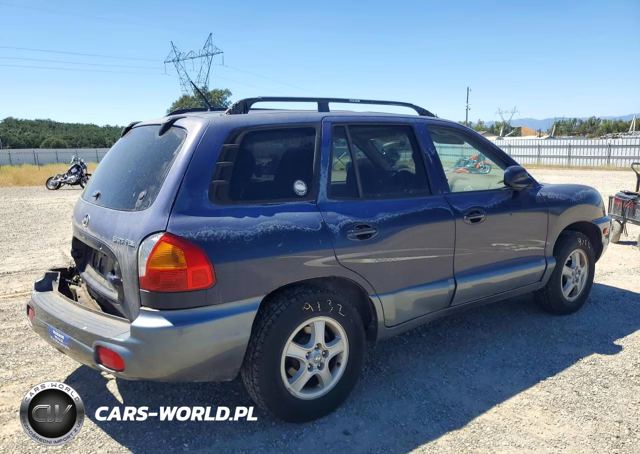 2004 Hyundai Santa Fe Gl VIN:KM8SB12BX4U812309 - 3