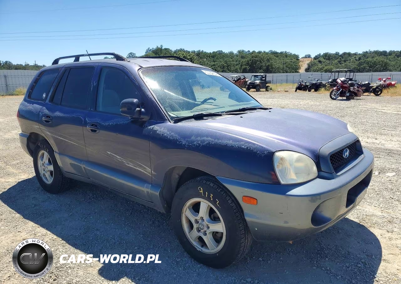 2004 Hyundai Santa Fe Gl VIN:KM8SB12BX4U812309 - 4