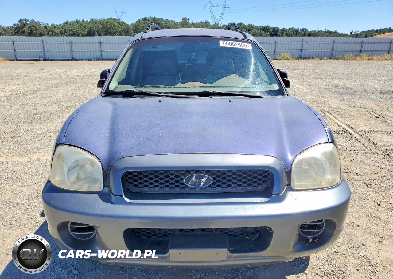 2004 Hyundai Santa Fe Gl VIN:KM8SB12BX4U812309 - 5