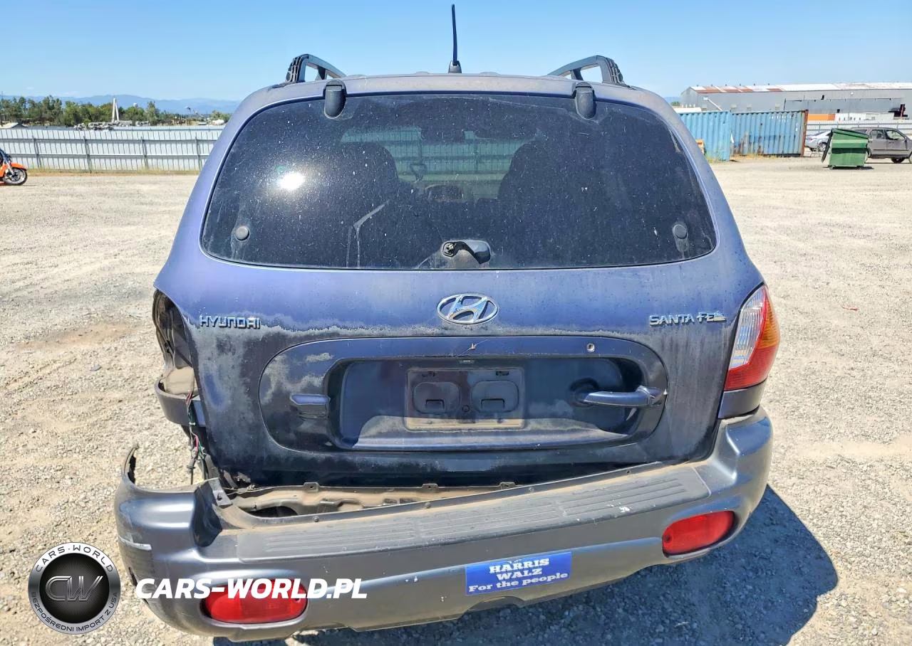 2004 Hyundai Santa Fe Gl VIN:KM8SB12BX4U812309 - 6