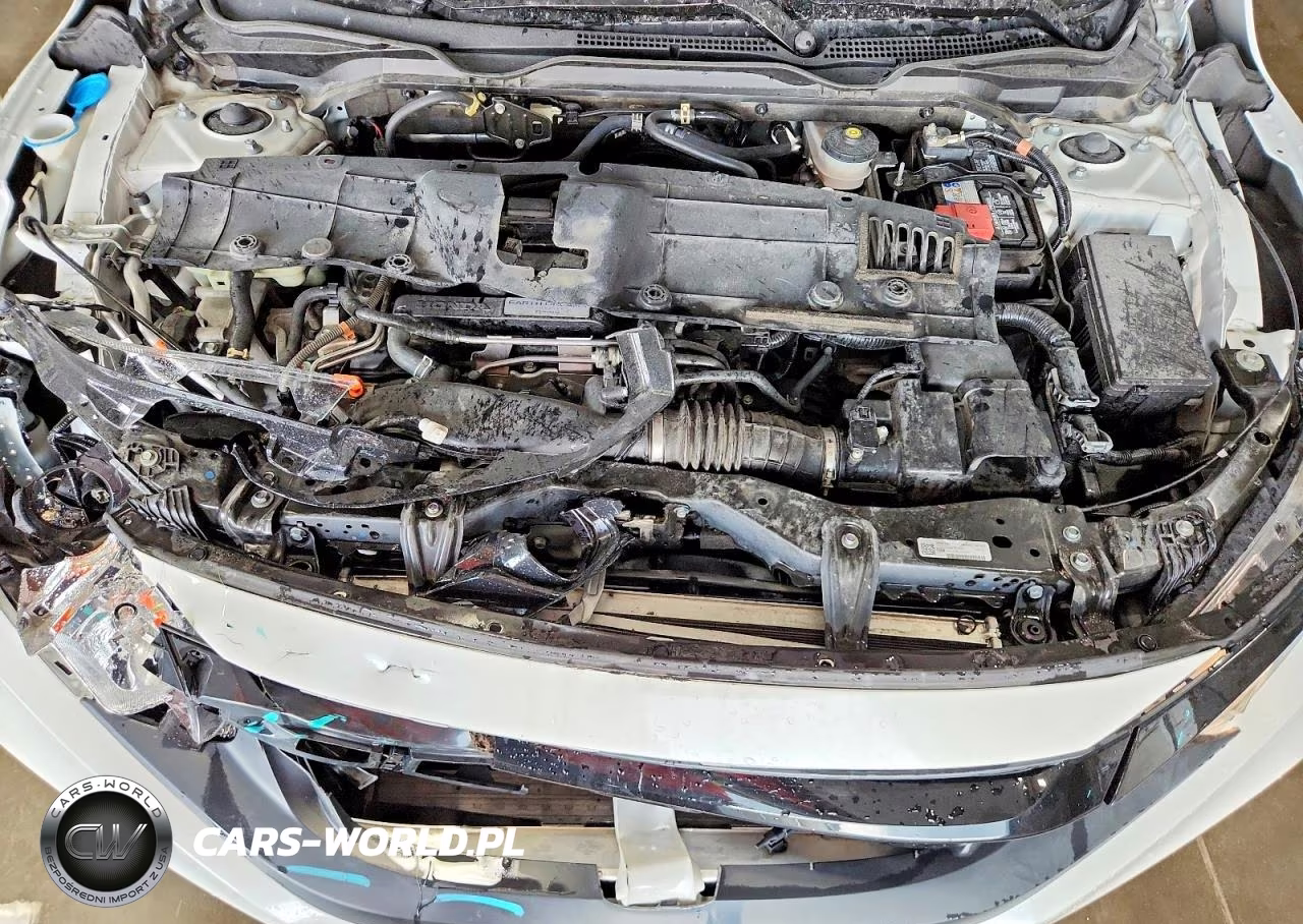 2019 Honda Civic Exl VIN:19XFC1F75KE001974 - 11