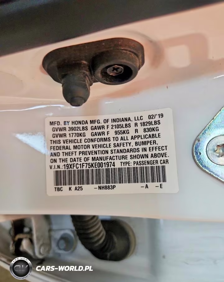 2019 Honda Civic Exl VIN:19XFC1F75KE001974 - 12
