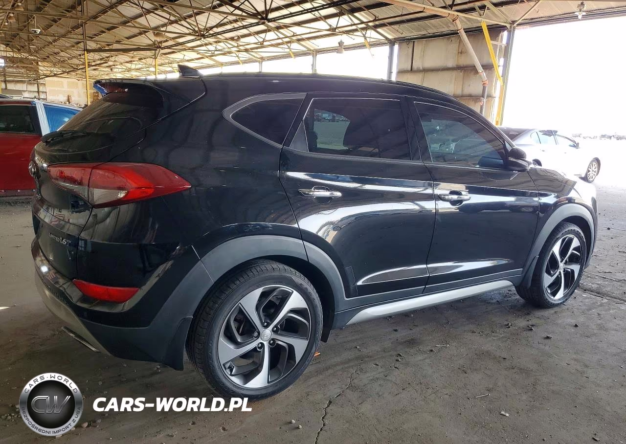 2017 Hyundai Tucson Limited VIN:KM8J33A26HU331372 - 3