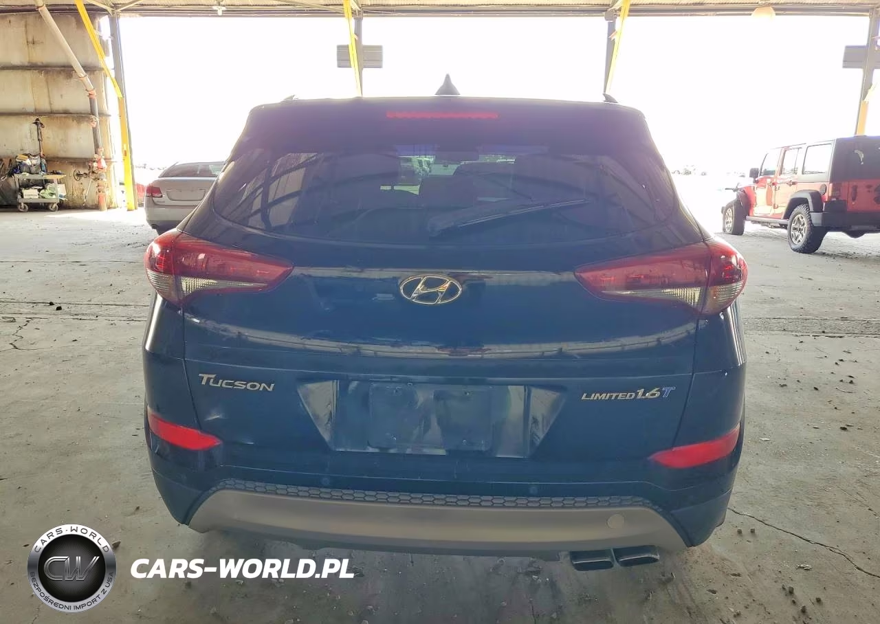 2017 Hyundai Tucson Limited VIN:KM8J33A26HU331372 - 6