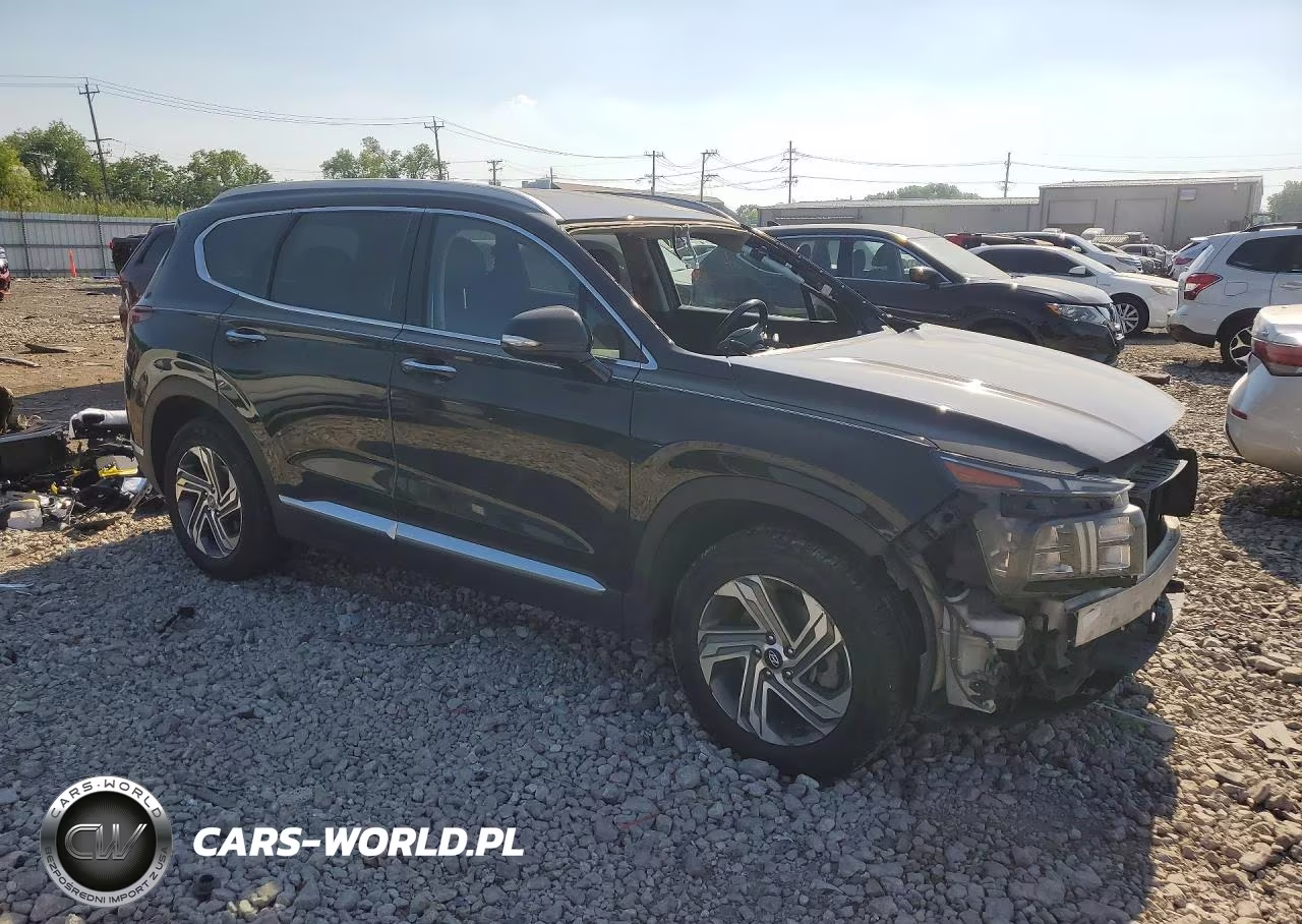 2021 Hyundai Santa Fe Sel VIN:5NMS64AJ4MH315198 - 4