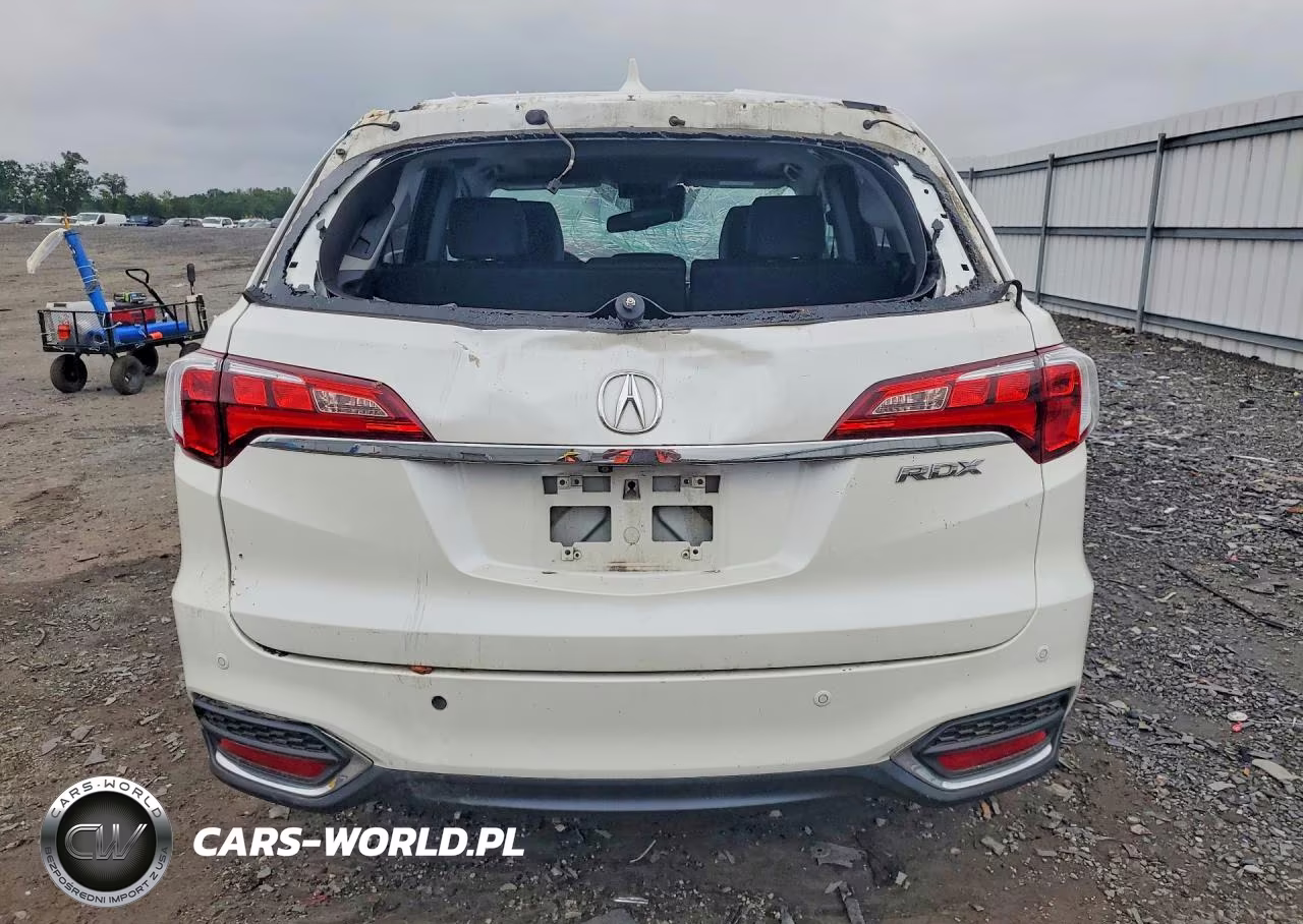2017 Acura Rdx Advance VIN:5J8TB3H73HL007675 - 6