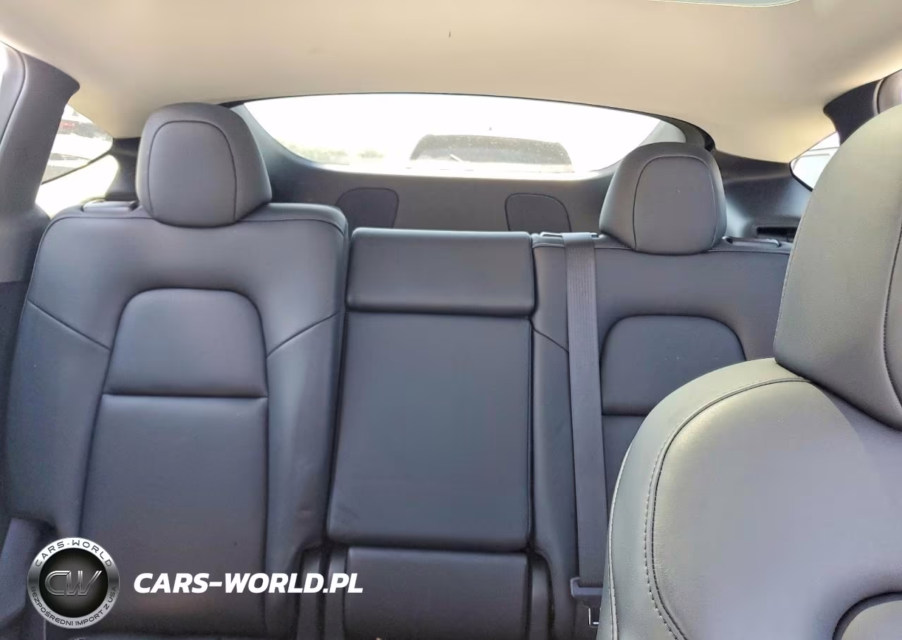 2024 Tesla Model Y VIN:7SAYGDEE2RF130180 - 10