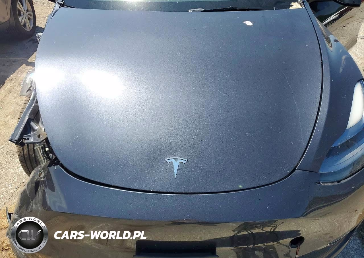 2024 Tesla Model Y VIN:7SAYGDEE2RF130180 - 12