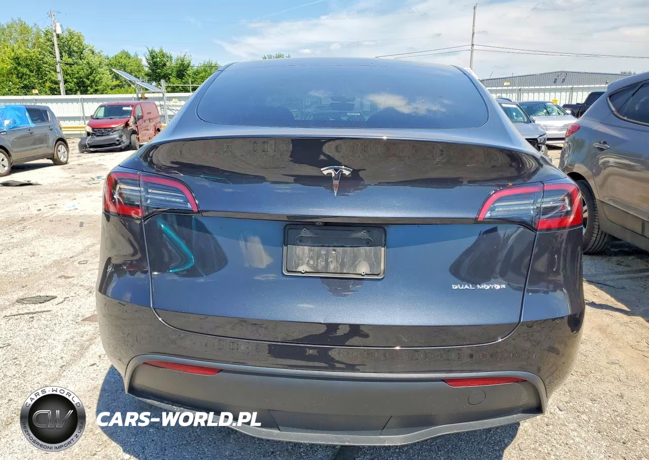 2024 Tesla Model Y VIN:7SAYGDEE2RF130180 - 6