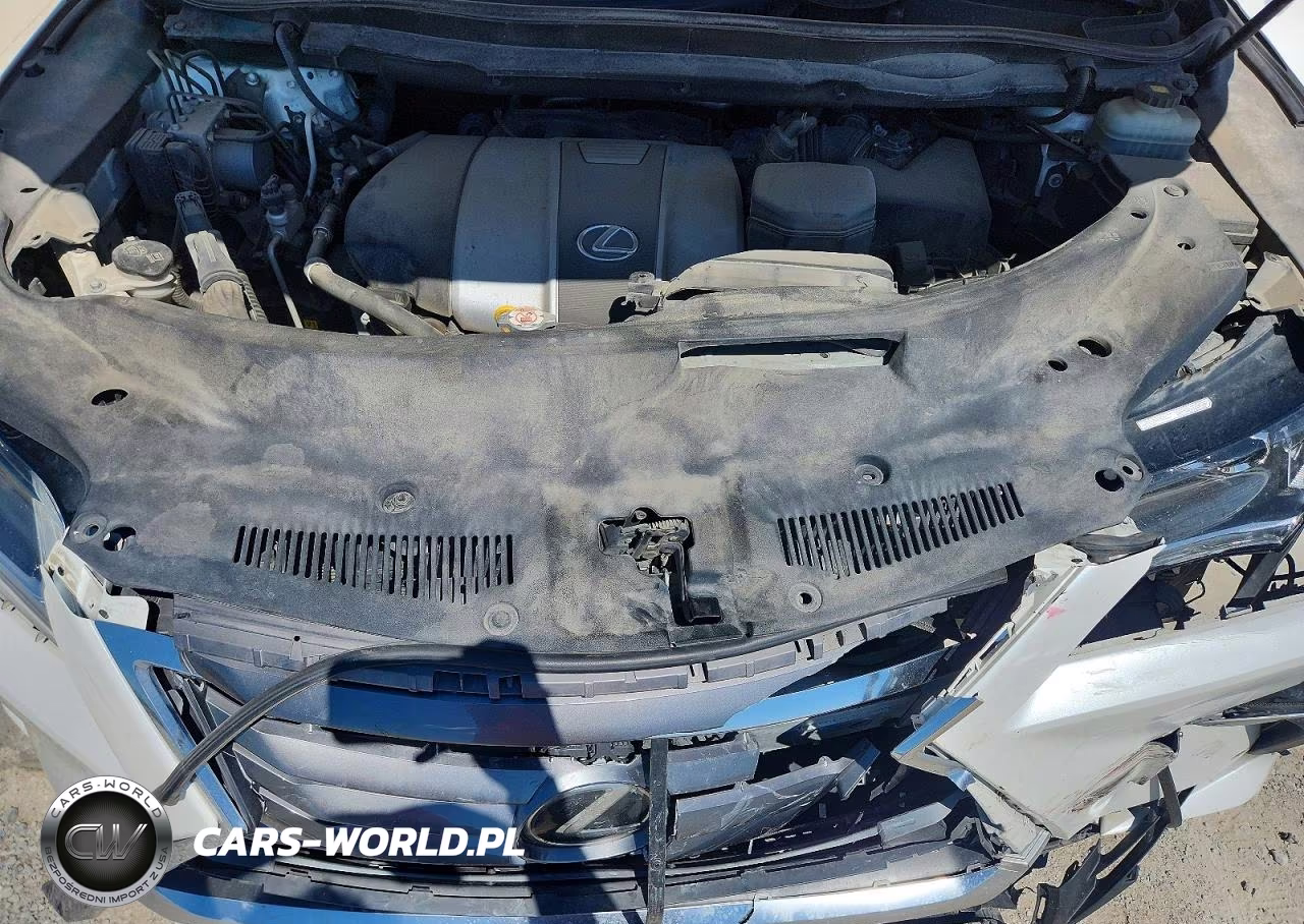 2018 Lexus Rx 350 L VIN:JTJDZKCA1J2000826 - 11