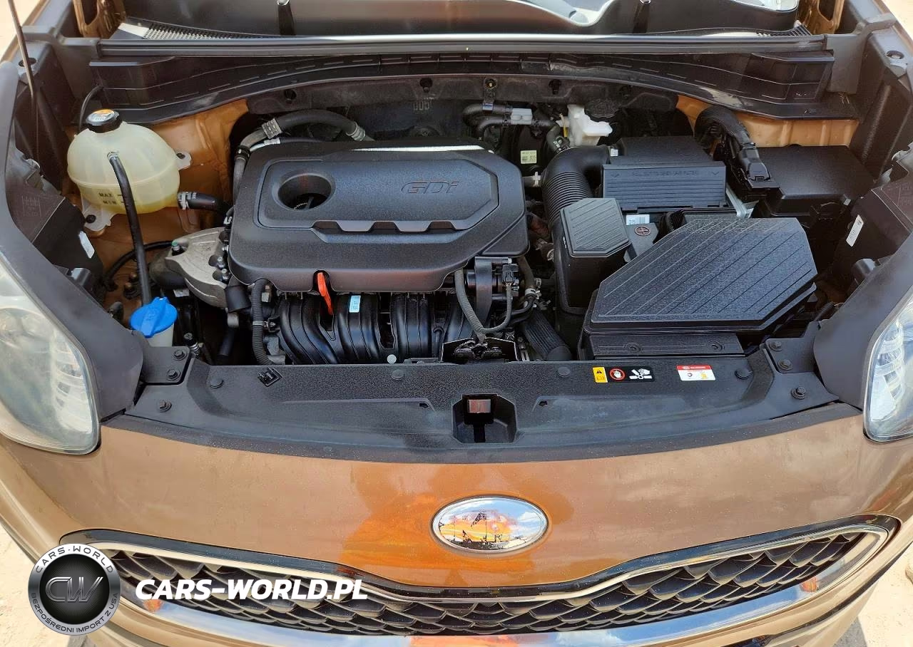 2020 Kia Sportage Lx VIN:KNDPM3AC9L7700592 - 11