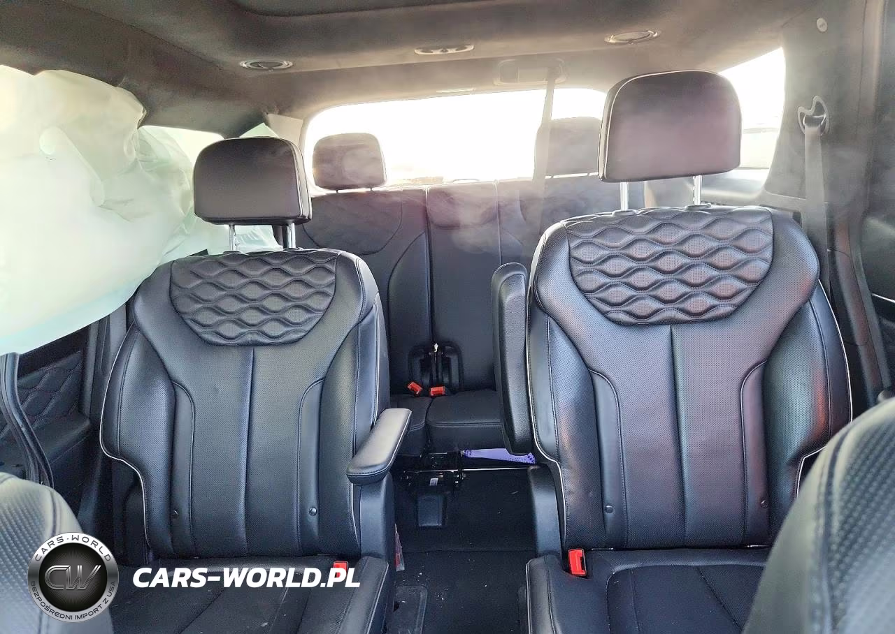 2020 Hyundai Palisade Limited VIN:KM8R5DHE9LU124776 - 10