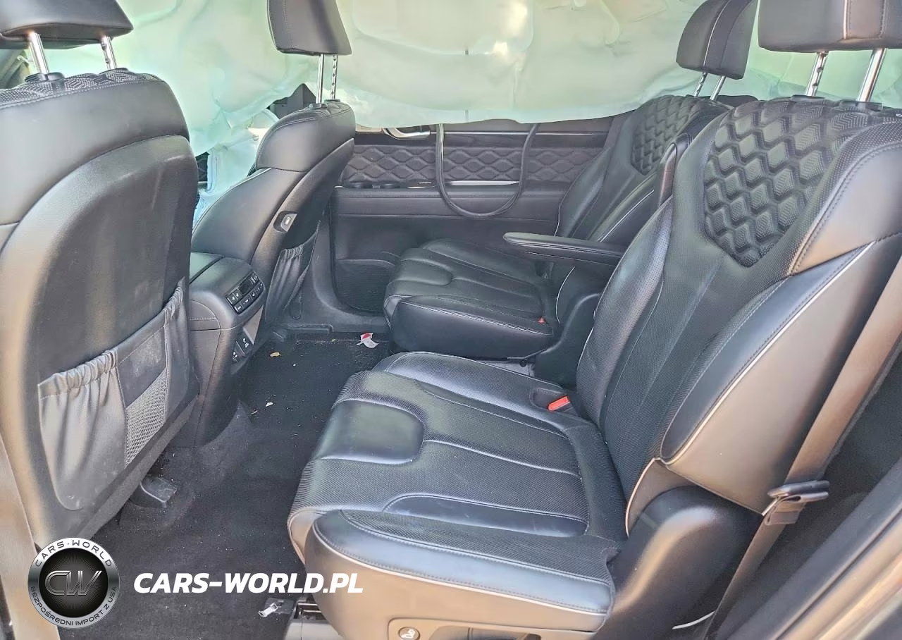 2020 Hyundai Palisade Limited VIN:KM8R5DHE9LU124776 - 11