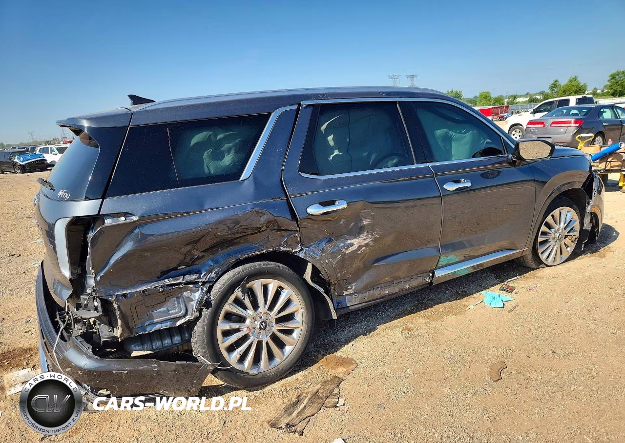 2020 Hyundai Palisade Limited VIN:KM8R5DHE9LU124776 - 3