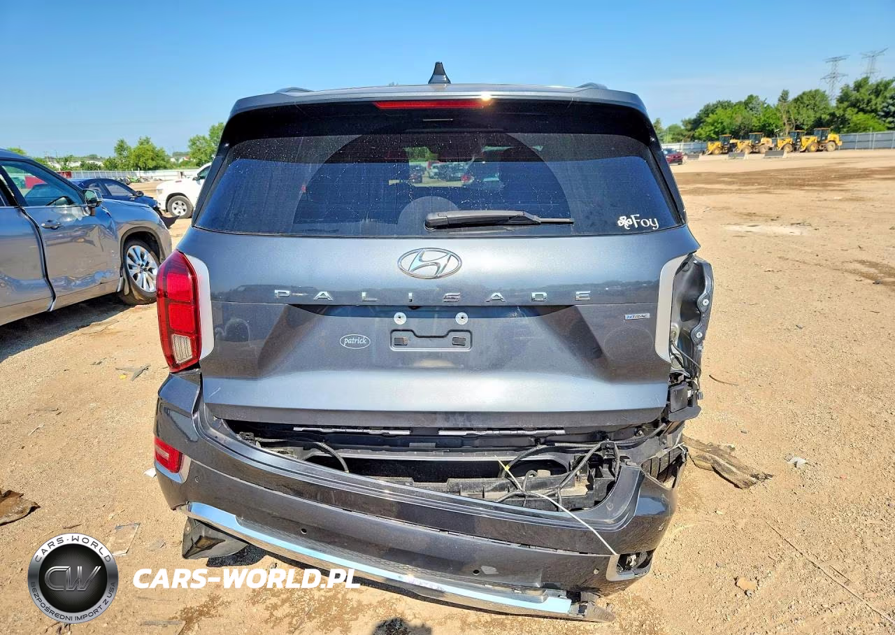 2020 Hyundai Palisade Limited VIN:KM8R5DHE9LU124776 - 6