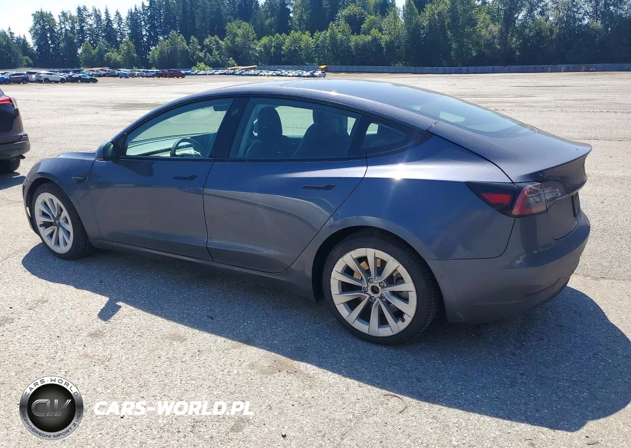 2022 Tesla Model 3 VIN:5YJ3E1EA3NF304695 - 2