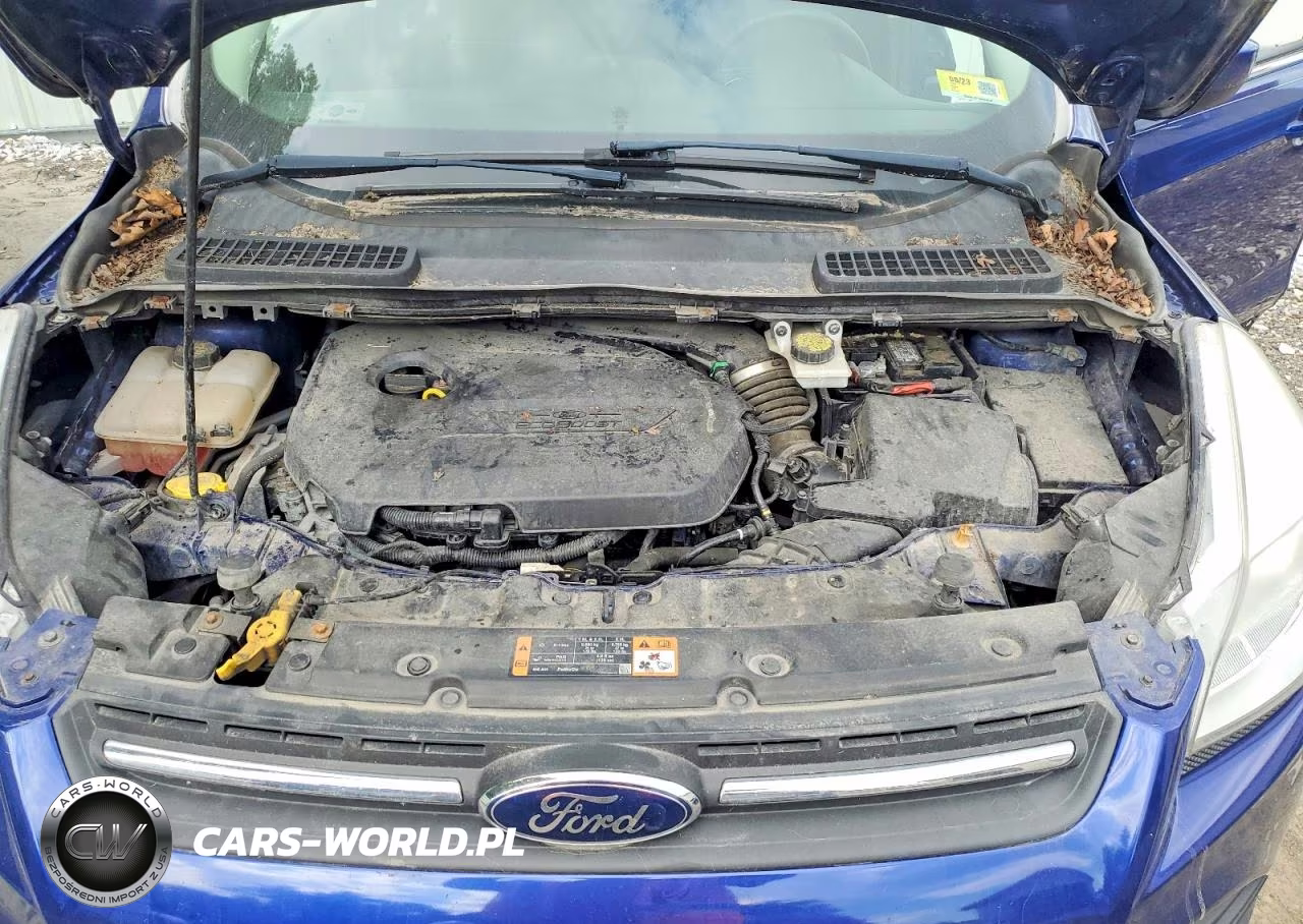 2015 Ford Escape Se VIN:1FMCU9GX8FUA34709 - 12