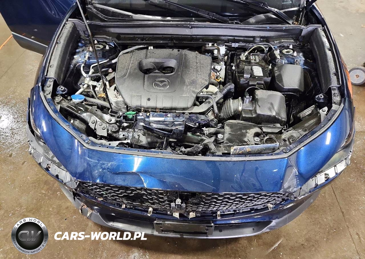 2025 Mazda Cx-30 VIN:3MVDMBAM5SM786265 - 12