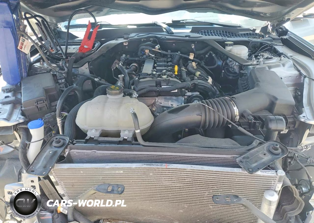 2021 Ford Mustang VIN:1FATP8UH9M5111815 - 11