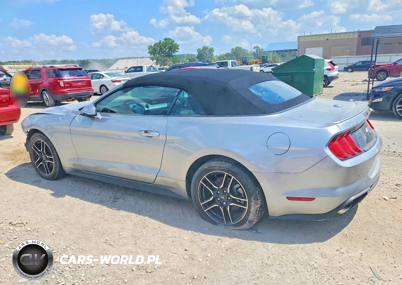 2021 Ford Mustang VIN:1FATP8UH9M5111815 - 2