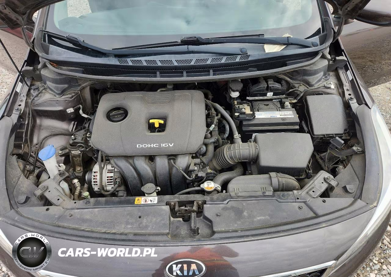 2017 Kia Forte Lx VIN:3KPFK4A78HE107307 - 11