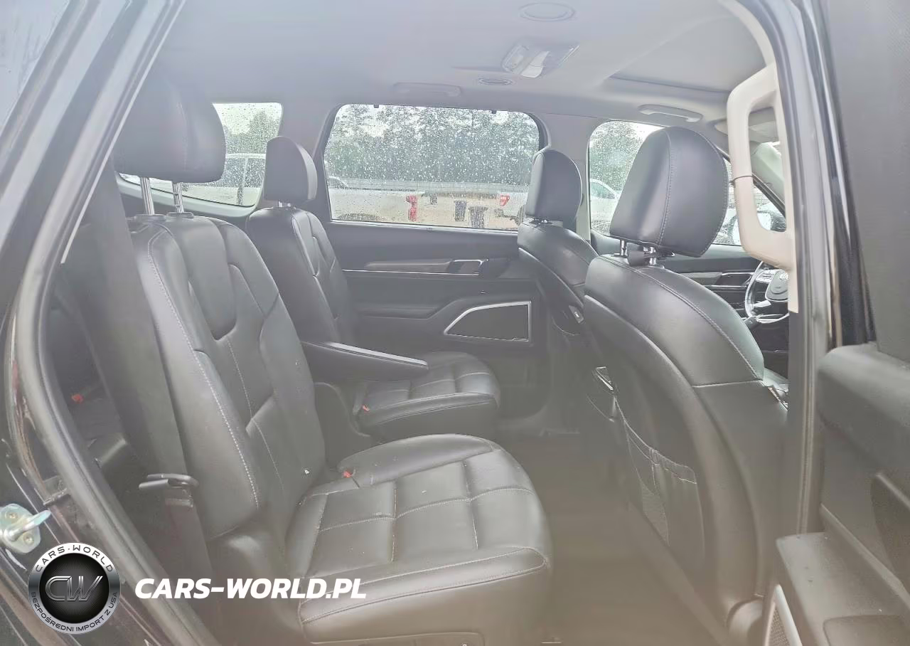 2021 Kia Telluride Ex VIN:5XYP3DHC5MG110232 - 11