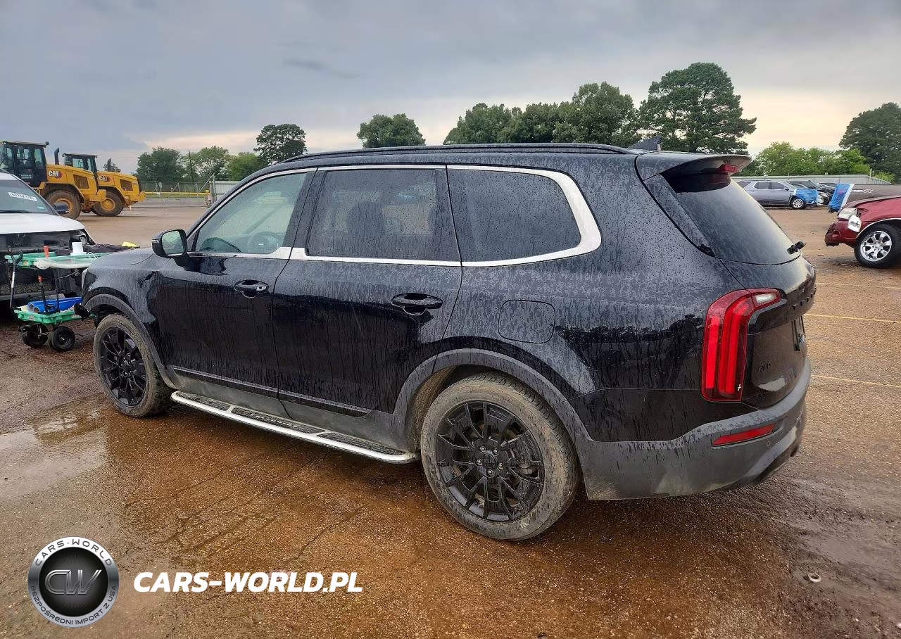 2021 Kia Telluride Ex VIN:5XYP3DHC5MG110232 - 2
