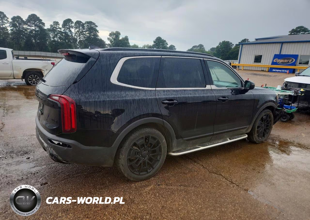 2021 Kia Telluride Ex VIN:5XYP3DHC5MG110232 - 3