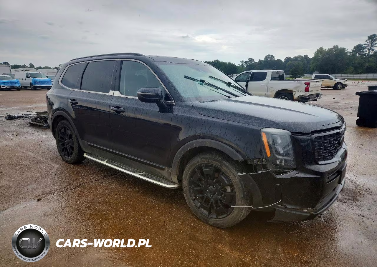 2021 Kia Telluride Ex VIN:5XYP3DHC5MG110232 - 4