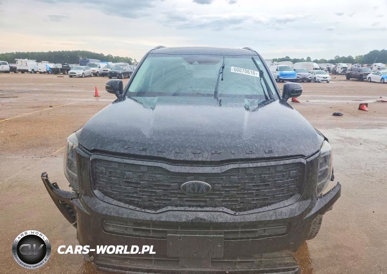 2021 Kia Telluride Ex VIN:5XYP3DHC5MG110232 - 5