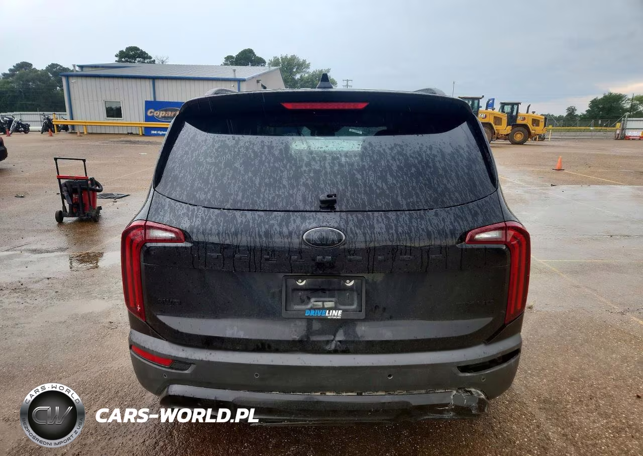 2021 Kia Telluride Ex VIN:5XYP3DHC5MG110232 - 6