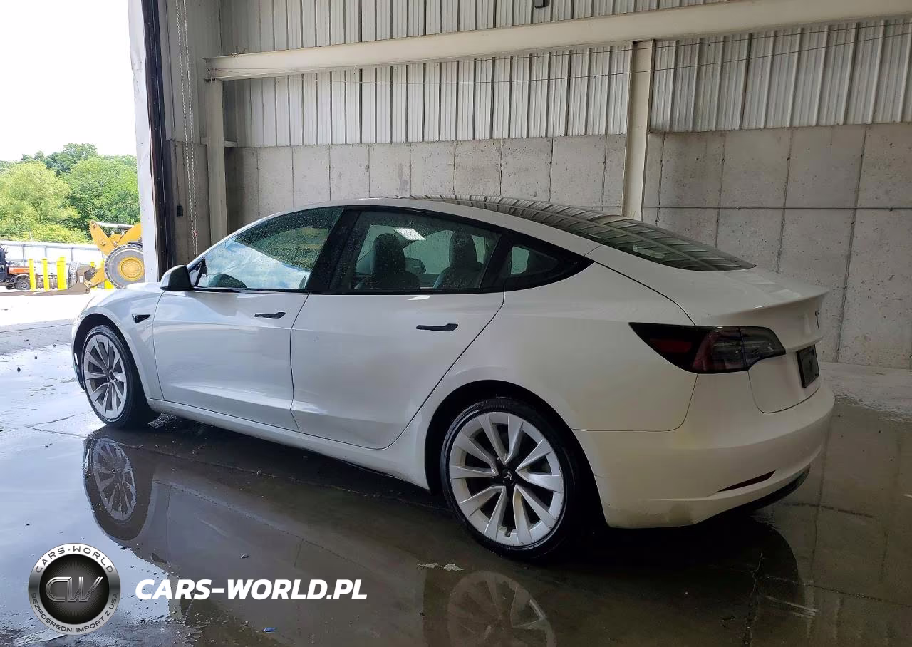 2023 Tesla Model 3 VIN:5YJ3E1EA6PF448762 - 2