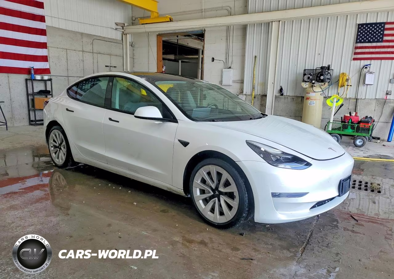 2023 Tesla Model 3 VIN:5YJ3E1EA6PF448762 - 4