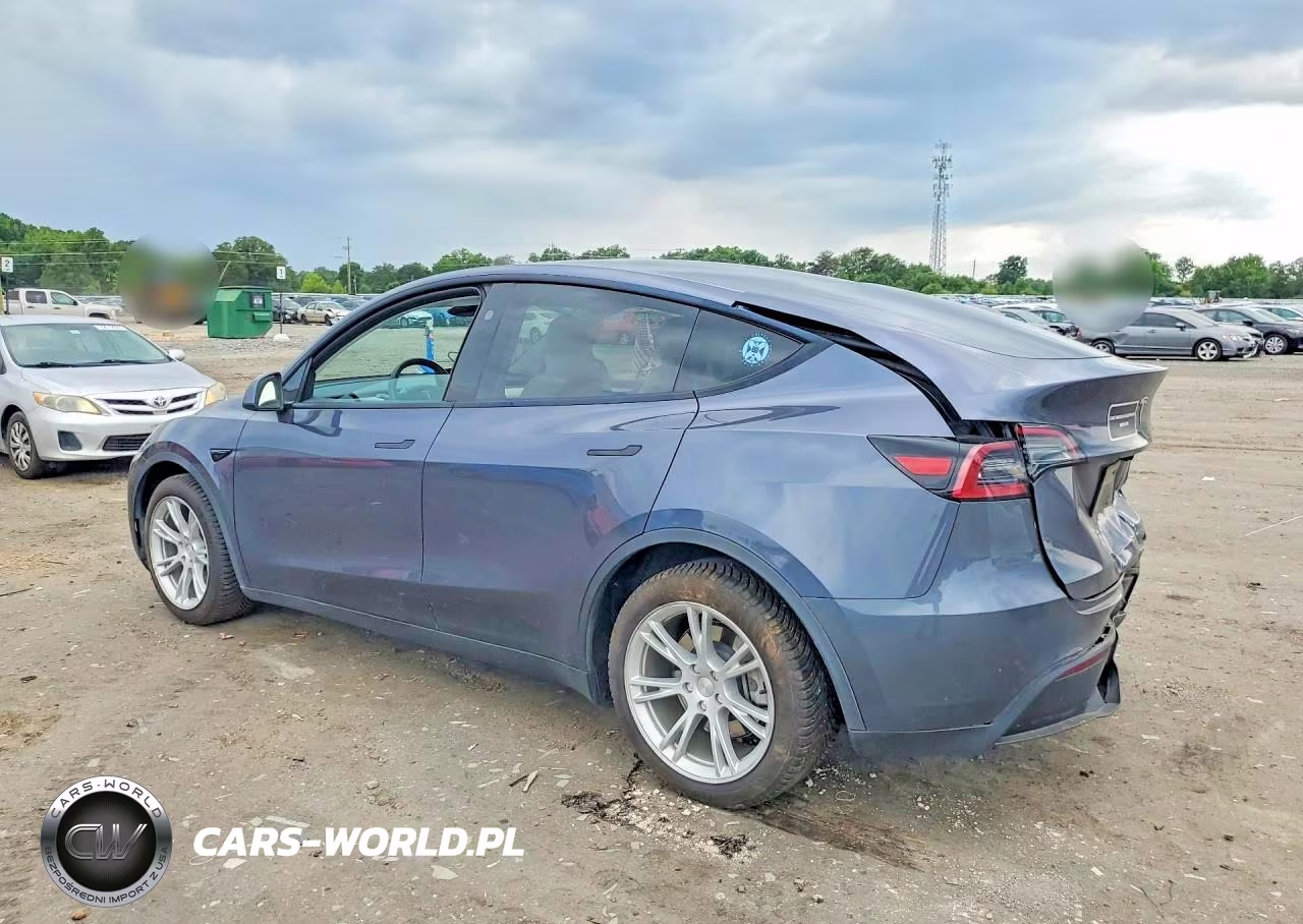 2023 Tesla Model Y VIN:7SAYGDEE3PF801143 - 2