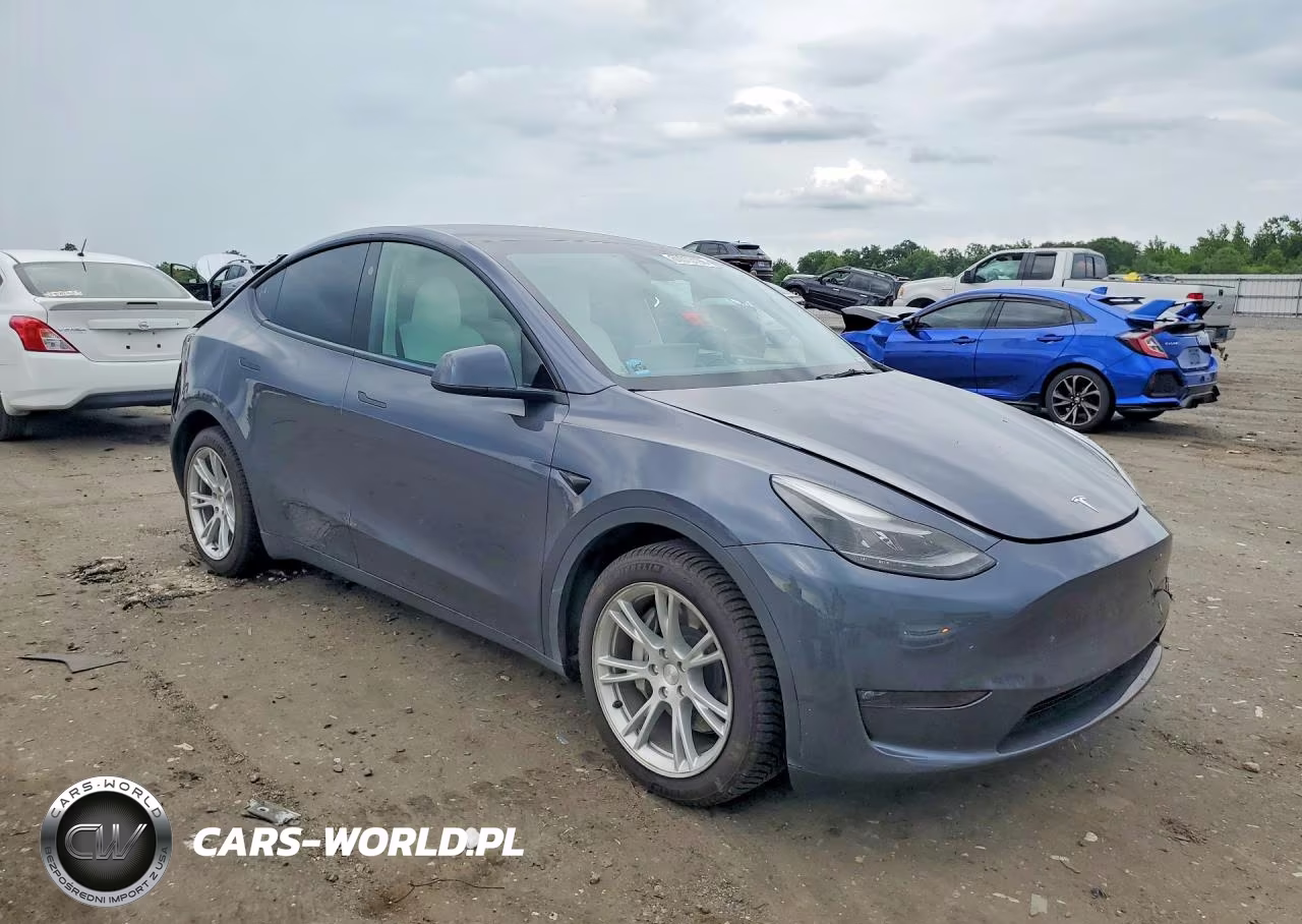 2023 Tesla Model Y VIN:7SAYGDEE3PF801143 - 4