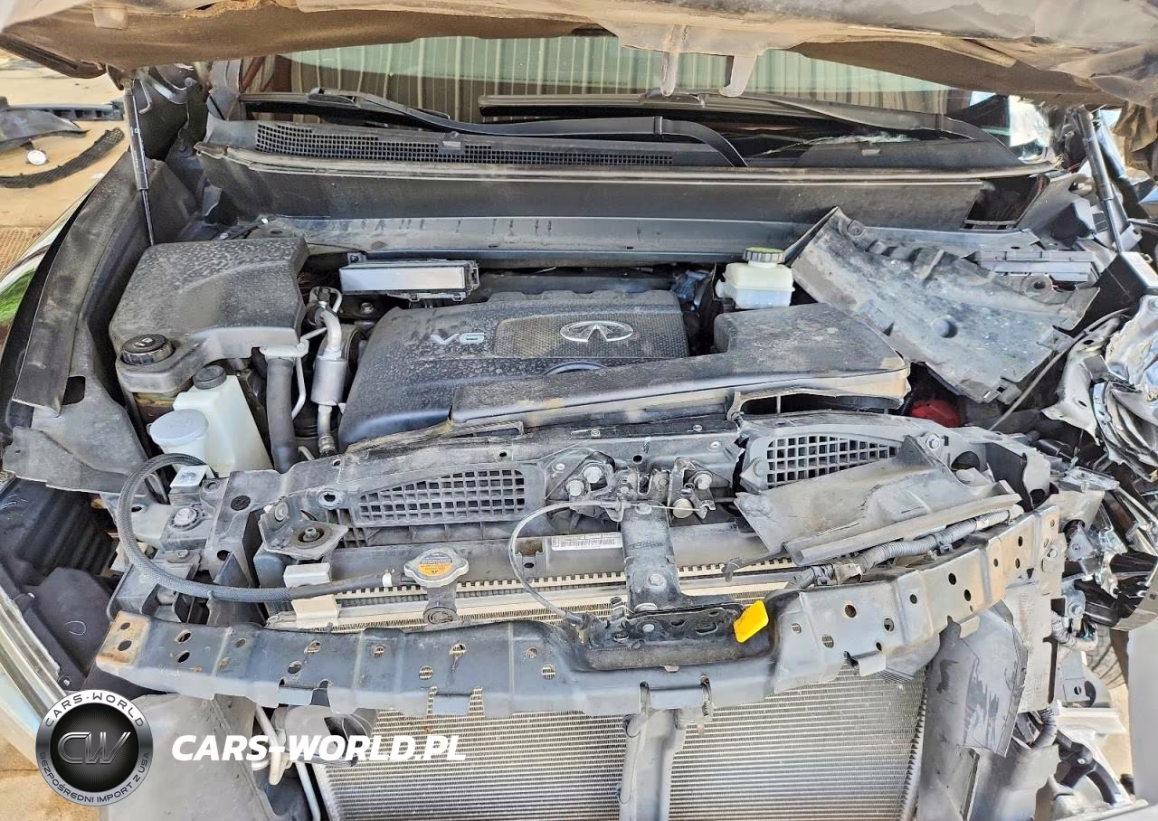 2020 Infiniti Qx60 Pure VIN:5N1DL0MN2LC523615 - 12