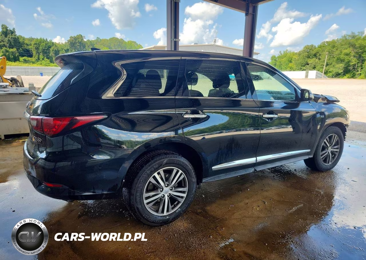 2020 Infiniti Qx60 Pure VIN:5N1DL0MN2LC523615 - 3